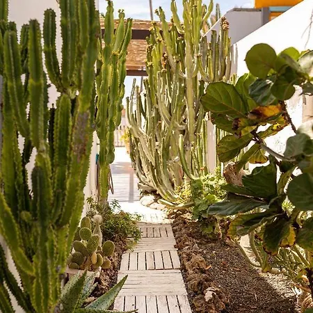 El Piloto Casa Canaria By Chic Fuerteventura * コラレホ