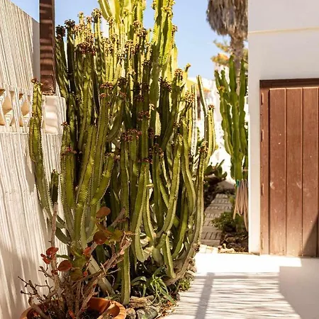 Homestay El Piloto Casa Canaria By Chic Fuerteventura